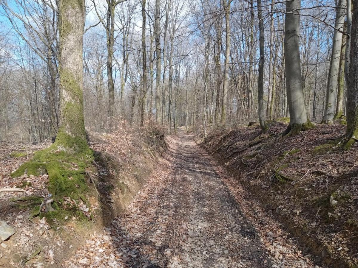 Le Vieux Noyer Panzió Nassogne Kültér fotó